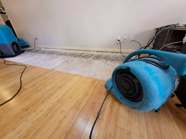 Professional Water Extraction technician working in Silver Spring, MD